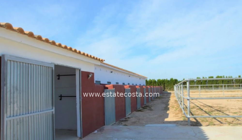 Posiadłość-wiejska-/-Finka 10006m2 San Miguel de Salinas 5km od plaży