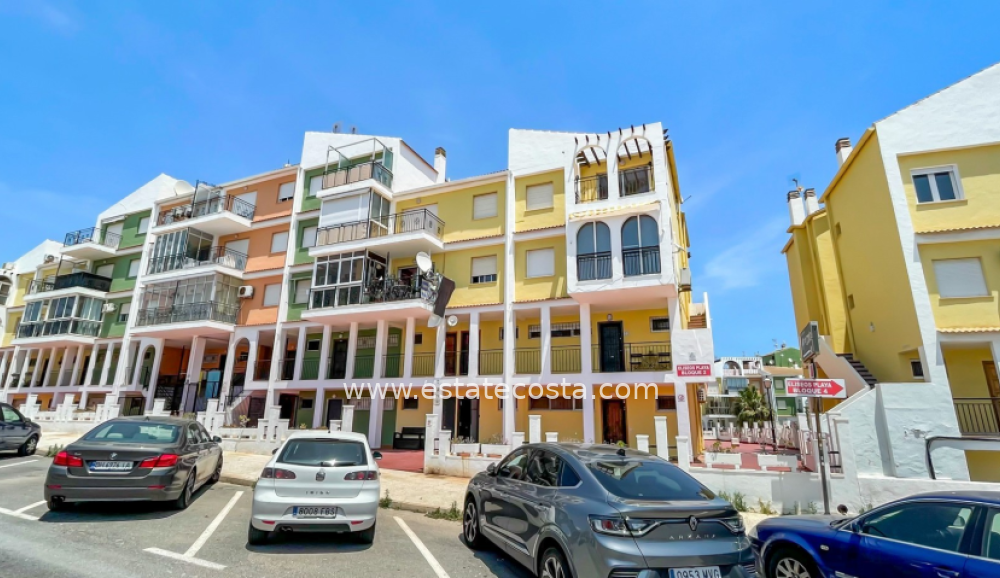 Apartament