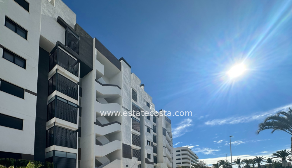 Apartament