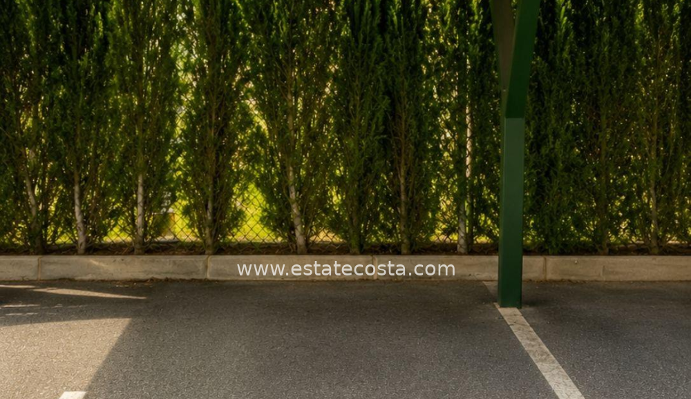 Apartament