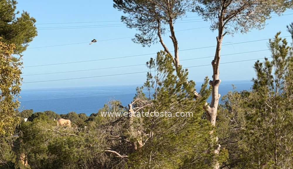 Działka 1414m2 Altea 3km od plaży