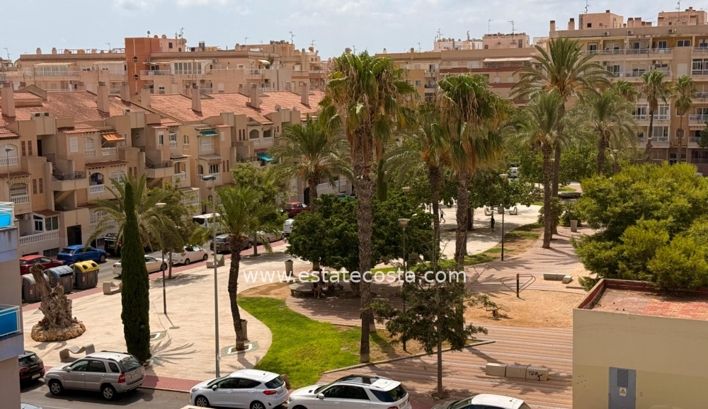 Apartament