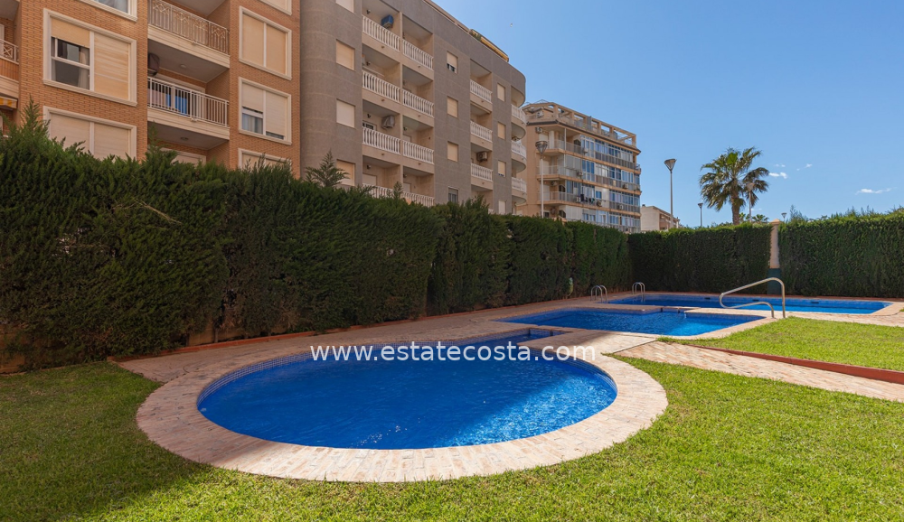 Apartament