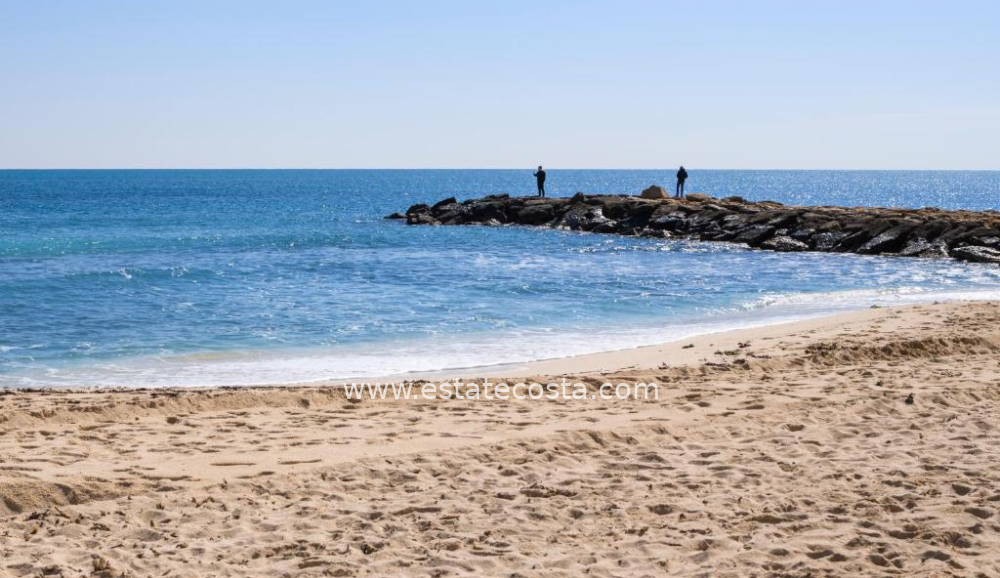 Studio 37m2  100m from the beach