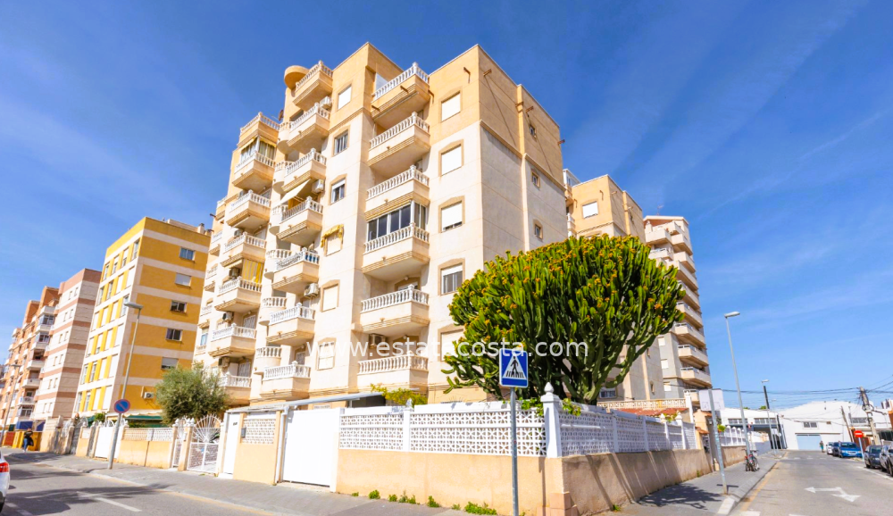Apartament